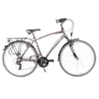 Rower Majdller 28'' MASTER 1.0 21'' Men Brąz