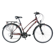 Rower Majdller 28'' MASTER 1.0 17'' Lady Bordowy