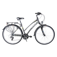 Rower Majdller 28'' MASTER 1.0 19'' Lady Czar/złot