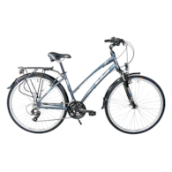 Rower Majdller 28'' MASTER 1.0 19'' Lady Grafit