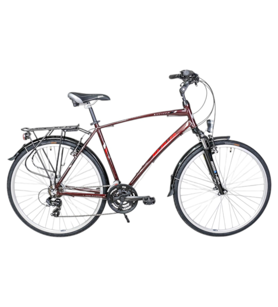 Rower Majdller 28'' MASTER 1.0 19'' Men Bordowy