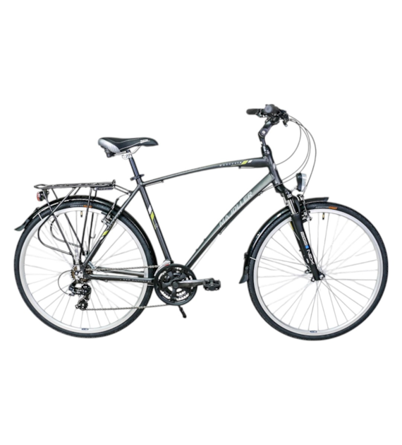 Rower Majdller 28'' MASTER 1.0 19'' Men Czar/złoty