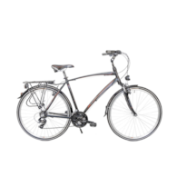 Rower Majdller 28'' MASTER 1.0 21'' Men Cza/złot