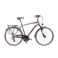 Rower Majdller 28'' MASTER 1.1 19'' Men Brąz