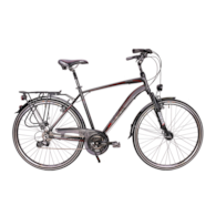 Rower Majdller 28'' MASTER 1.1 21'' Men Antracyt